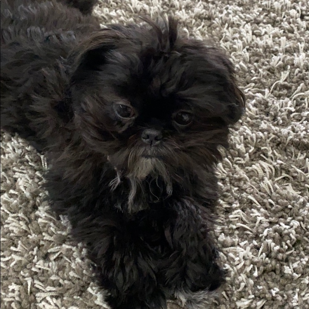 Meet your Posher, BD